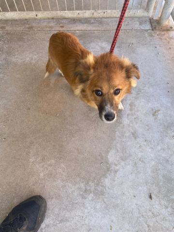 E-126 (17-08-2023) Ribas de Campos