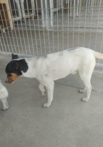 E-51-2 (15-02-2023)-Magaz de Pisuerga