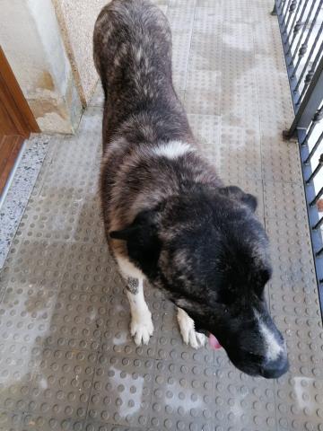 E-52 (15-02-2023)-Respenda de la Peña