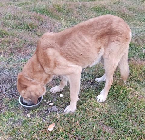 E-53 (23-02-2023)-Santibañez de la Peña