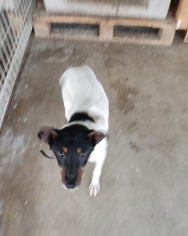 E-54 (01-03-2023)-Barruelo