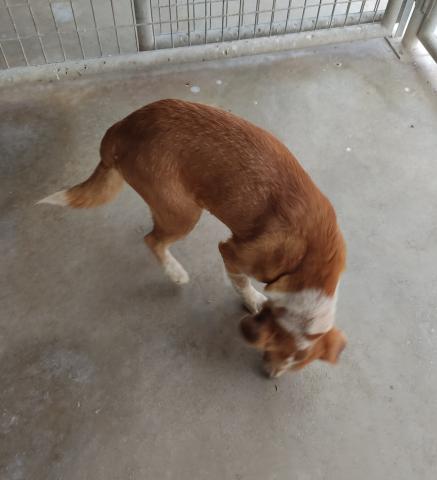 E-56 (01-03-2023) Villadiezma