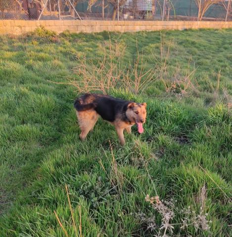 E-61 (20-03-2023) Becerril