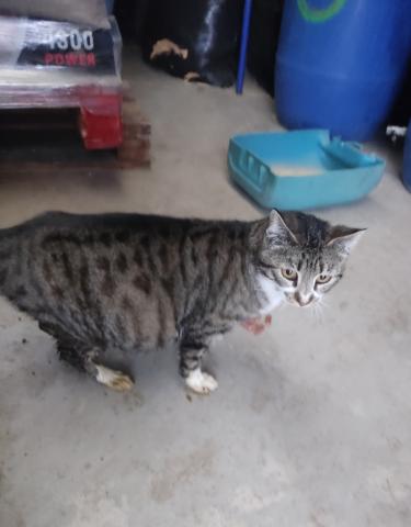 E-72 (22-04-2023) Villamuriel de Cerrato