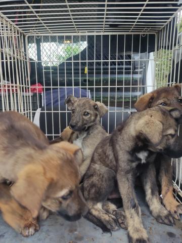 E-74 (21-04-2023) Antiguedad