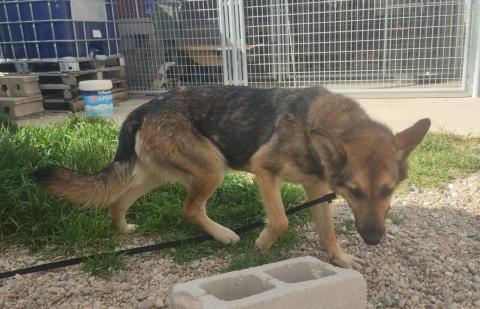 E-77 (27-04-2023) Santibañez de la Peña