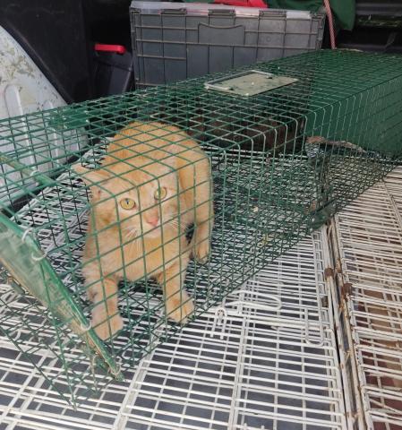 E-80 (29-04-2023) Población de Campos