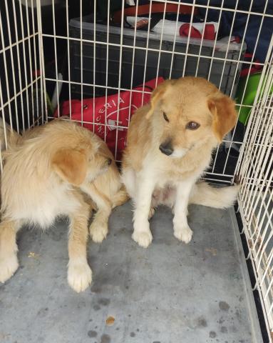 E-82-2 (09-05-2023) Paredes de Nava