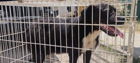 E-88 (23-06-2023) Ledigos