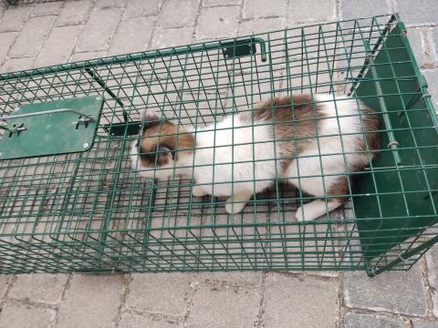 E-92-3 (26-06-2023) Vertavillo