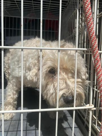 E-97 (30-06-2023) Villalobon