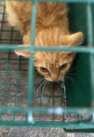 E-128 (28-08-2023) Lantadilla