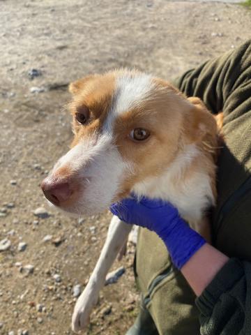 E-30P (12-01-2024) Valle de Cerrato