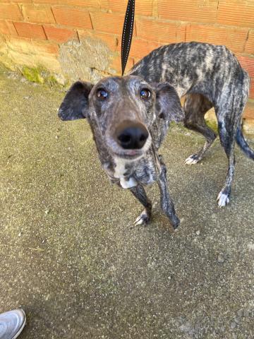 E-34P-2 (16-02-2024) Tamara de Campos