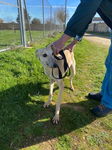 E-35P (20-02-2024) Lantadilla