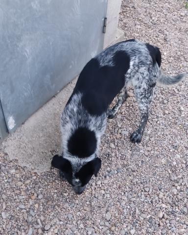 E-36P (05-03-2024) Cevico de la Torre
