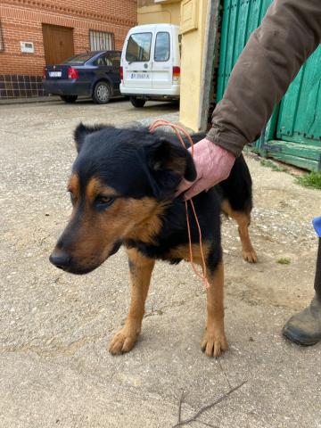 E-39P (14-03-2024) Pozo de Urama