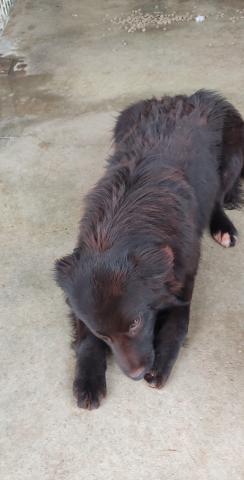 E-40P-1 (14-03-2024) Magaz de Pisuerga