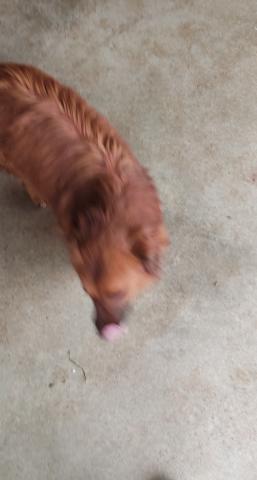 E-40P-2 (14-03-2024) Magaz de Pisuerga