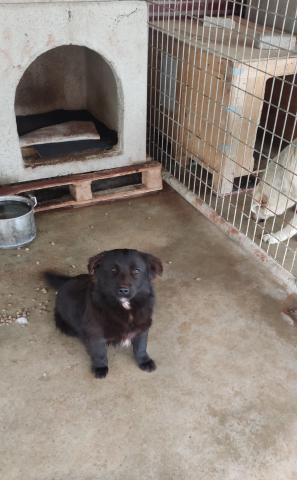 E-40P-3 (14-03-2024) Magaz de Pisuerga