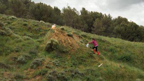 Orientación escolar 