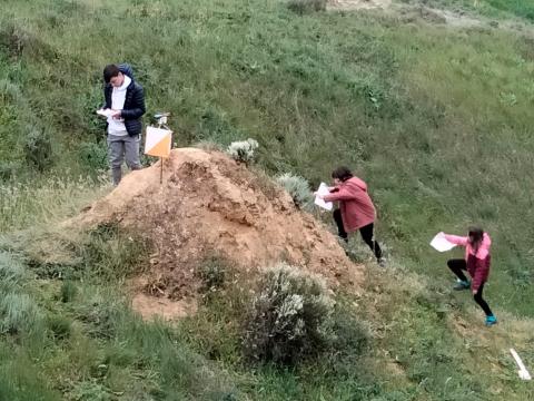 Orientación escolar 