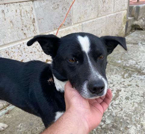 E-47P (05-04-2024) Marcilla de Campos