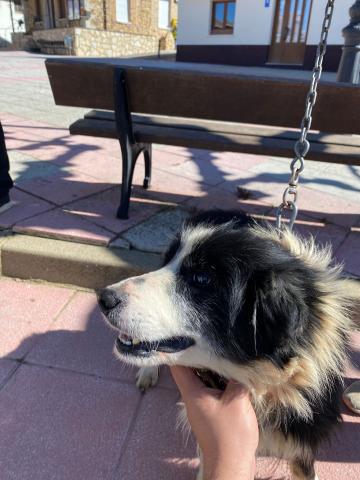 E-48P (17-04-2024) Congosto de Valdavia