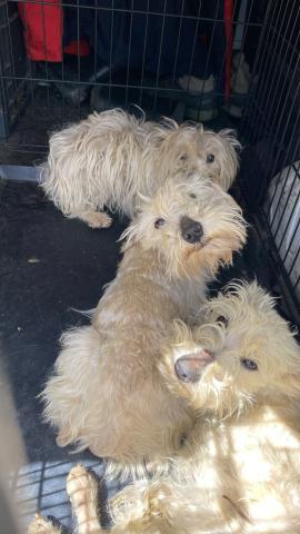 E-49P (17-04-2024) Población de Arroyo