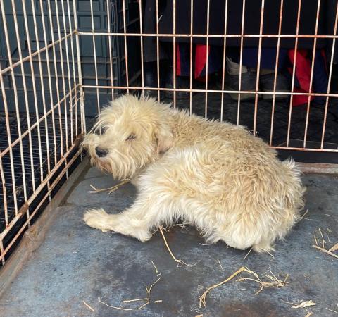 E-50P (26-04-2024) Población de Arroyo