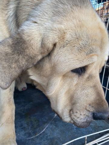 E-61 (10/06/2024)PAREDES DE NAVA