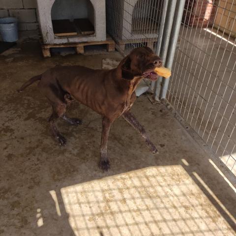 E-62(13/06/2024) FRÓMISTA .jpg