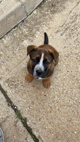 E-55(22/05/2024) ALAR DEL REY