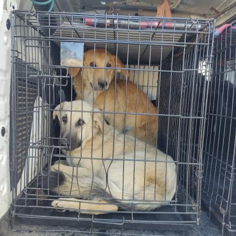 E-97(23/08/2024)FRESNO DEL RÍO