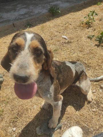 E-75(21/08/2024)POZO DE URAMA