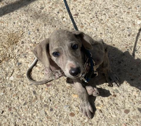 E-74(30/07/2024) MONZÓN DE CAMPOS.jpg