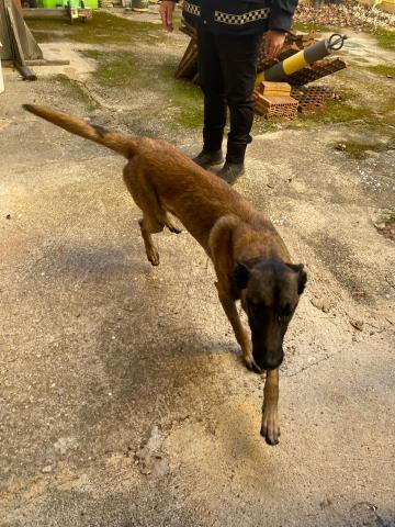 E-1P25(28/10/2025)CARRIÓN DE LOS CONDES.jpg