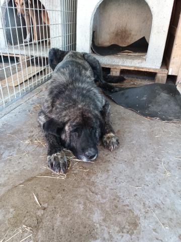 E-64(21/07/2025)CERVERA DE PISUERGA.jpg