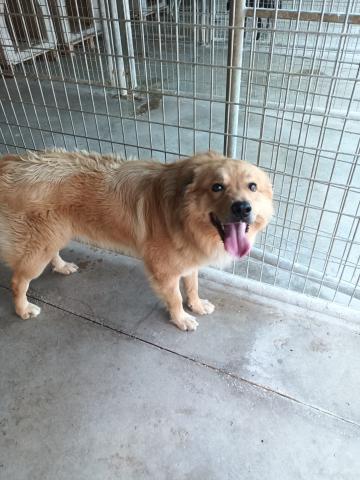 E-73(08/10/2025)CERVERA DE PISUERGA.jpg