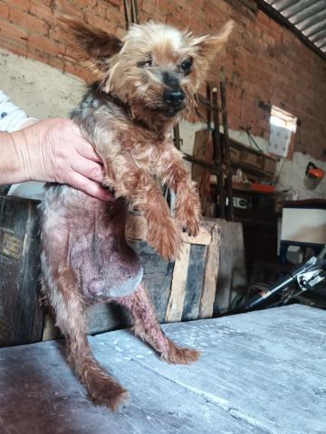 E-67(21/08/2025)VILLALUENGA DE LA VEGA.jpg