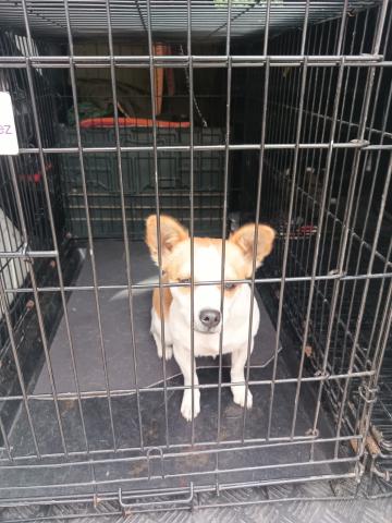 E-72(19/09/2025)COBOS DE CERRATO.jpg