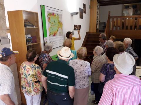 excursion_paredes_y_fuentes_de_nava._julio_2.017