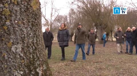 plan_empleo_forestal_soto_villodre_2018