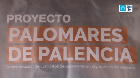 Proyecto "Palomares de Palencia" (30/08/2019)