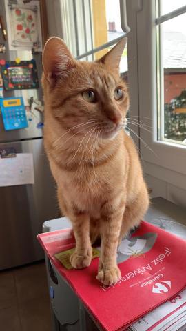 E-153 (26-09-2019) Villamuriel de Cerrato