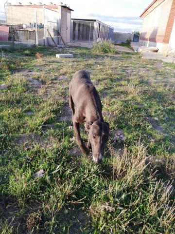 E-154 (26-09-2019) Villalcón