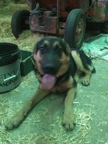 E-155 (01-10-2019) Saldaña