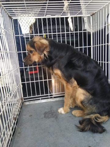 E-156 (01-10-2019) Fresno del Rio