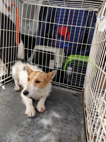 E-163 (17-10-2019) Saldaña