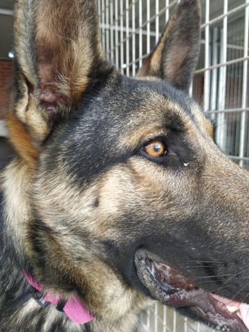 E-164 (17-10-2019) Villanueva de la Peña